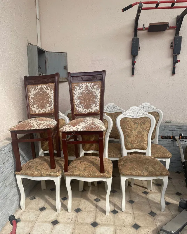 20 ta stul va divan 1 20 ta stul va divan 1