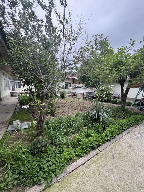 Срочно!!! Продается Орр: Бирлик Саккокий 5,5 соток Фасад 18,5*30 — фото 3