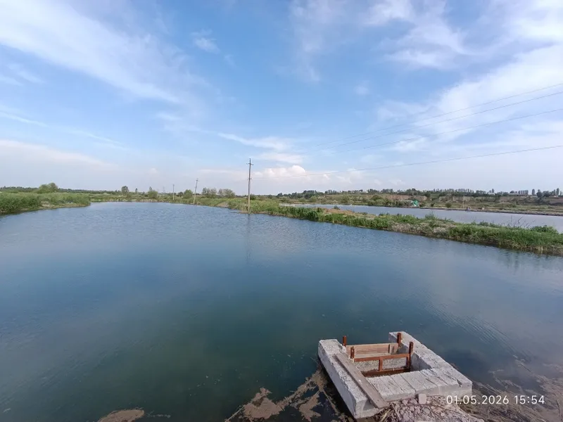 Ташморе готовый бизнес на 4 гектарах у реки