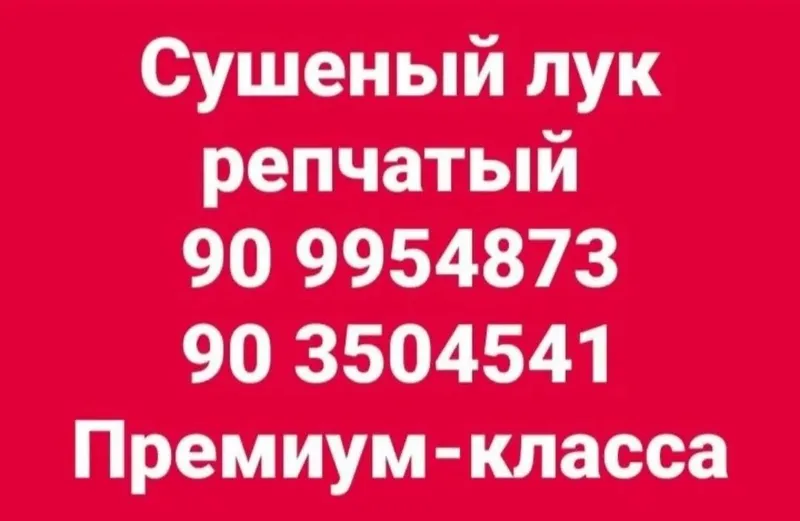 Пиёз куритилган Олий нав 7