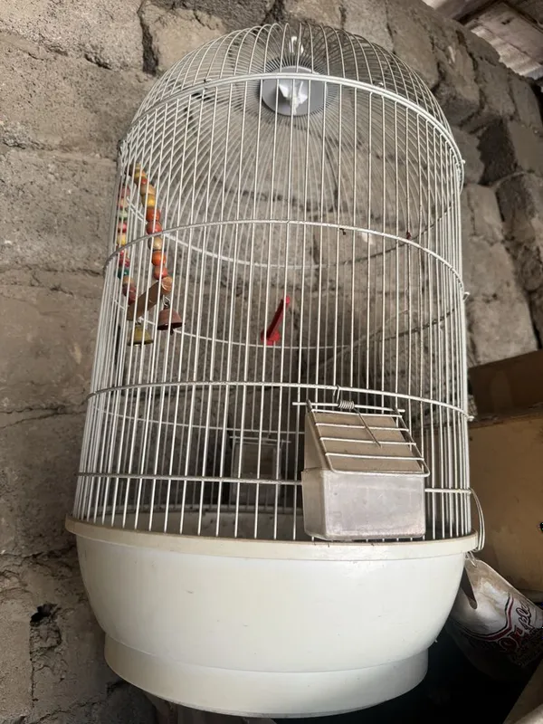 Qafaslar sotiladi 1