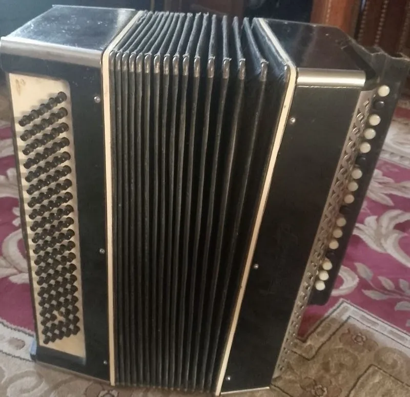 Akardion narx kelishiladi 1 Akardion narx kelishiladi 1