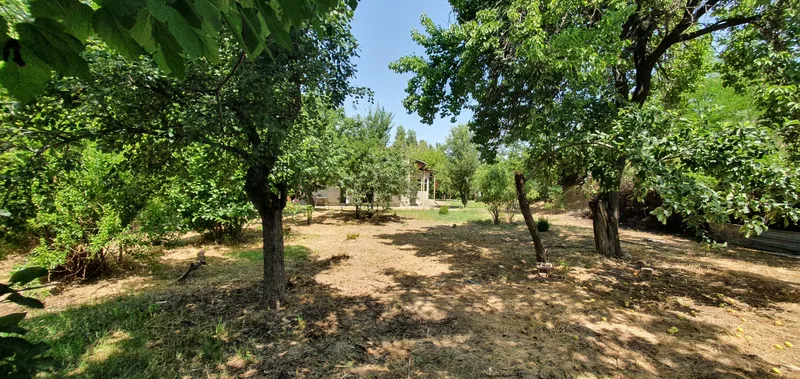 Qibray tumani Salor MFYda uchastka sotiladi