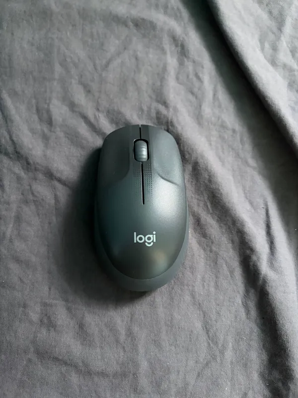 Logi M190 sichqonchasi 1