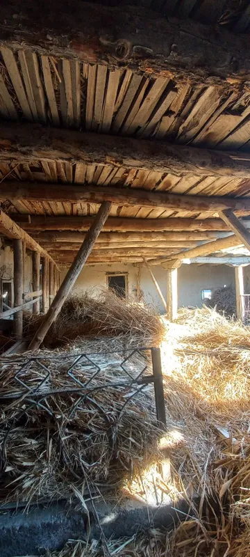 Боло харвасталар сотилади нархини келишамиз