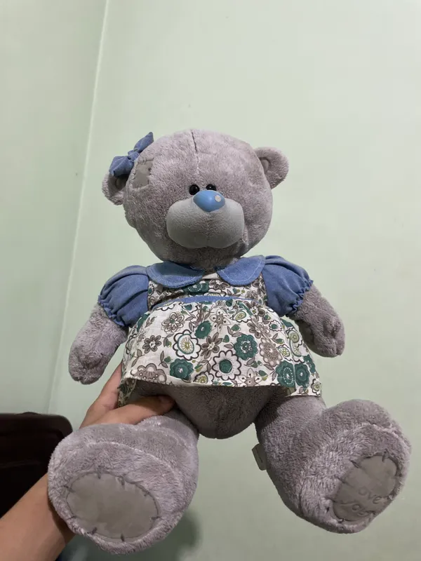 Teddy