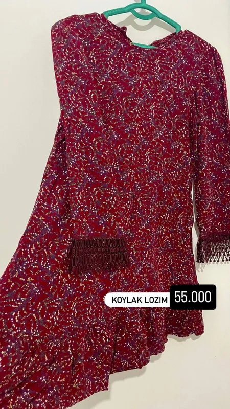 Ayollar koylagi
