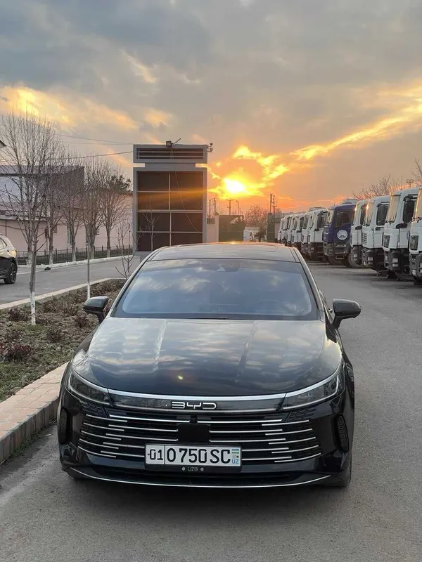 BYD chazor champion flagship