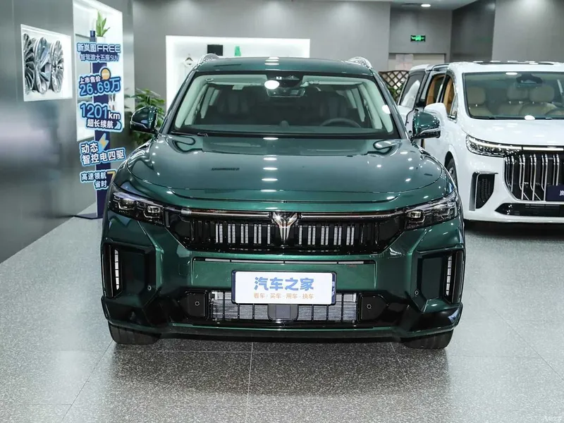 Voyah Free hybrid 318km RWD