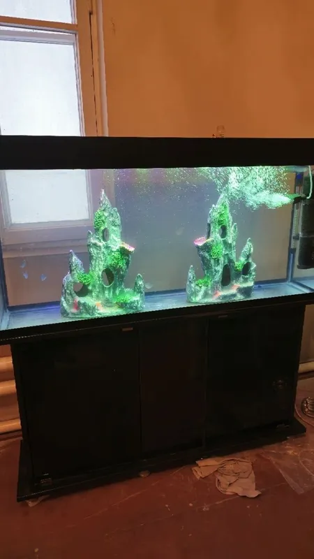 Akvarium katta sotiladi