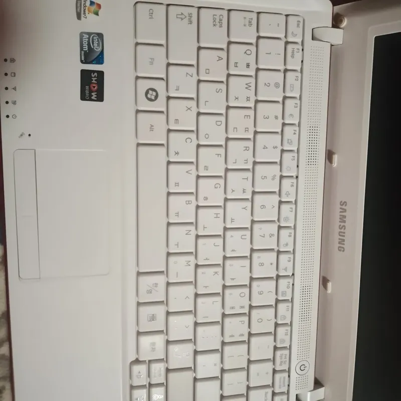 Model: Samsung NF110 2
