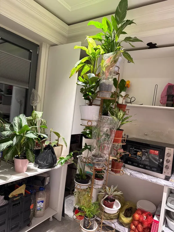 Подставка для цветов 2