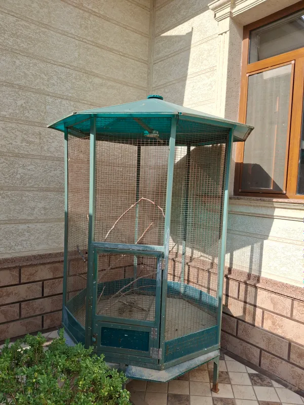 qafas qushga
