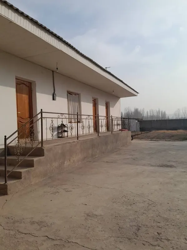 8 sotix dala hovli