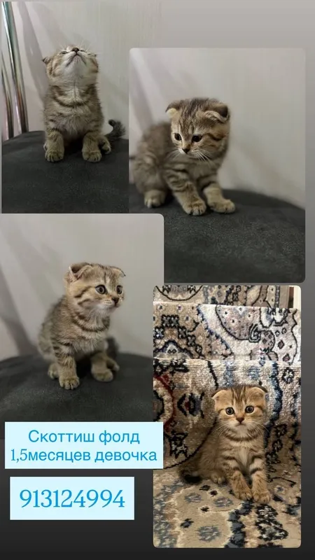Продаётся 2