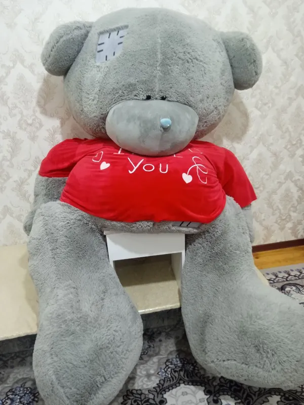 Yumshoq teddy sotiladi.