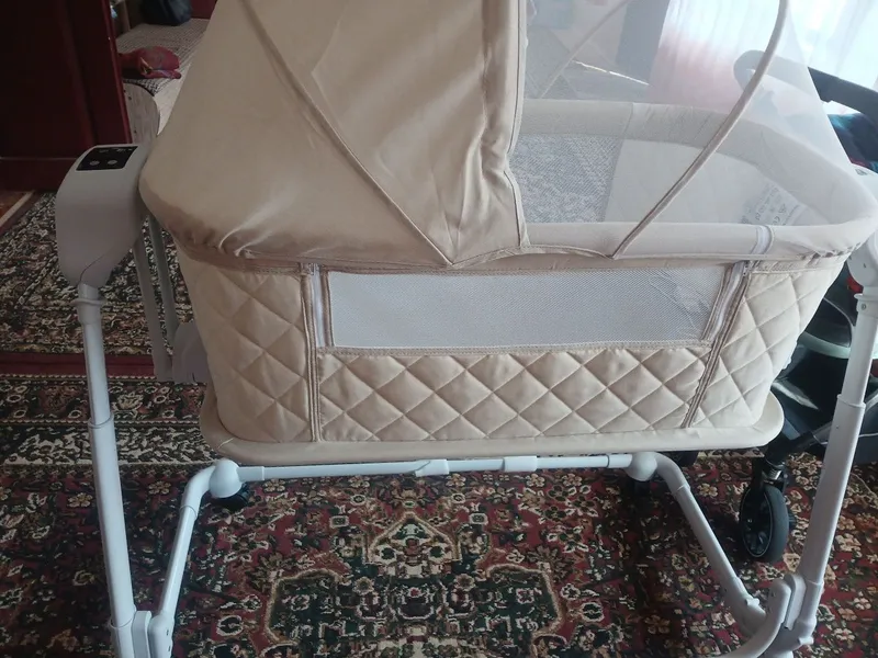 Manej elektronik