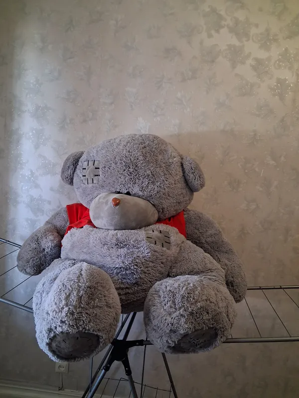 Teddy ayiq