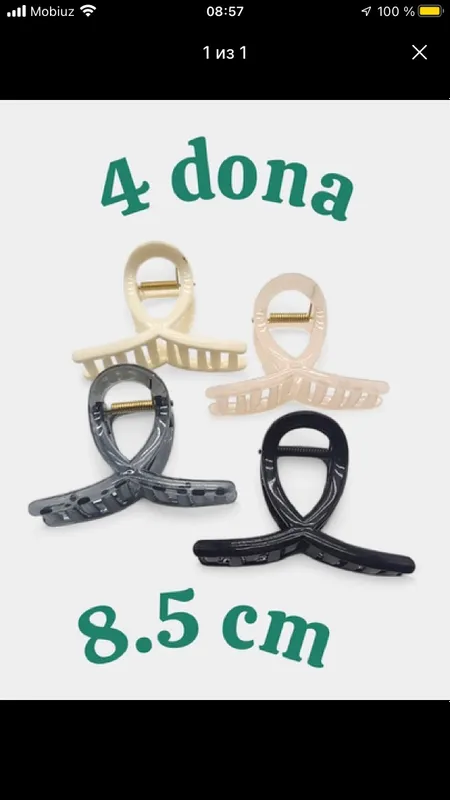 Заколка 1