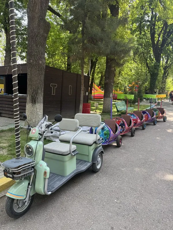 Аттракцион, Поезд