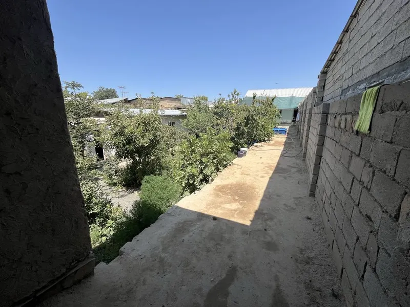 Ховли сотилади срочна