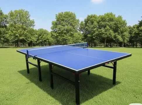 . Stol tennisi/ Теннисный стол 1 — фото 2