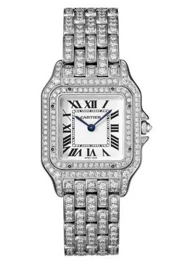 Cartier Panthere de Cartier Medium custom