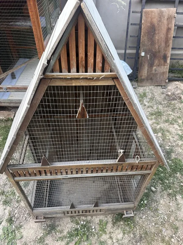 To’ti va yapon tovuq uchun sifatlik katak 2 To’ti va yapon tovuq uchun sifatlik katak 2