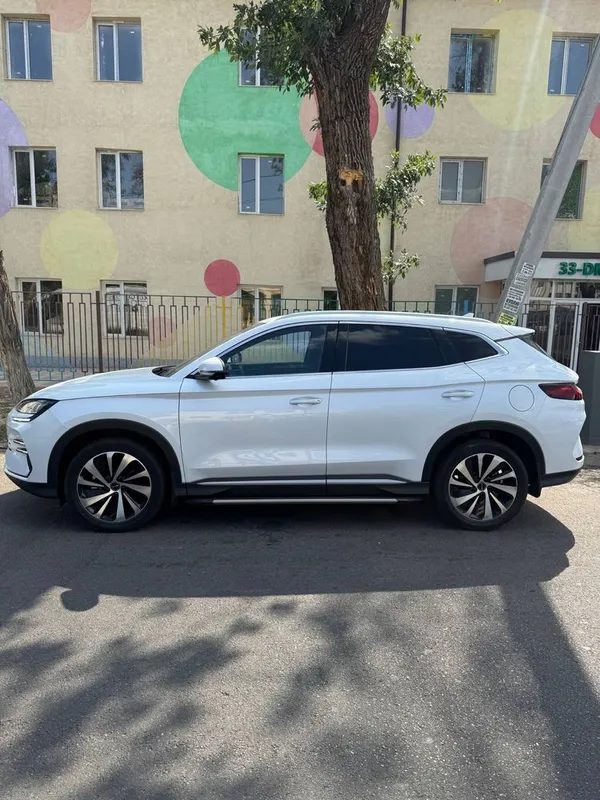 Byd chempion gibrid, 150 talik sotiladi 3