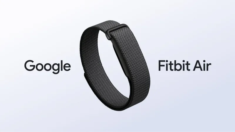 Google FitBit Air (оптом) 2 Google FitBit Air (оптом) 2