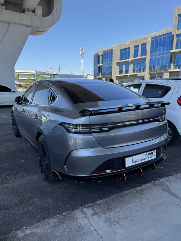 BYD Chazor 3 pozitsiya 2 BYD Chazor 3 pozitsiya 2