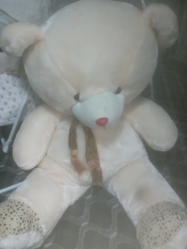 Yangidek ayiq