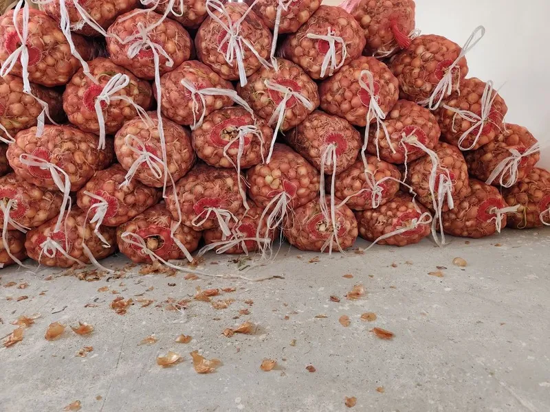 Piyoz sotiladi rasmdagi