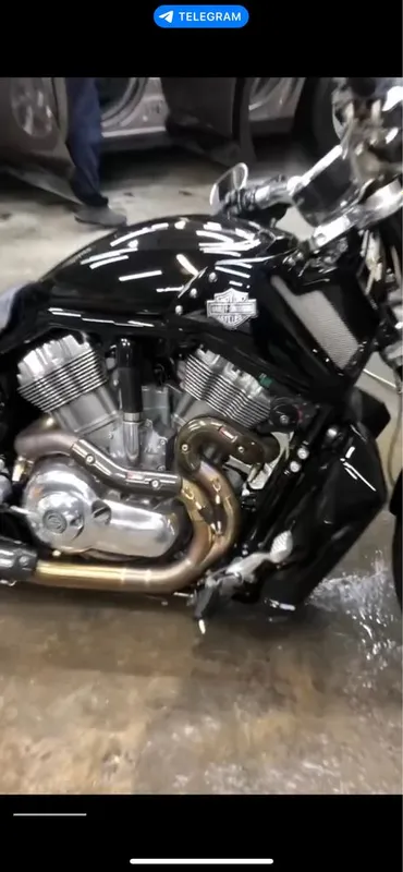 Harley Davidson V-ROD Muscle срочно — фото 3