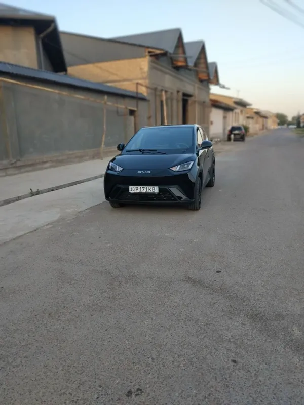 BYD seagull kraskasi yoq 4 BYD seagull kraskasi yoq 4