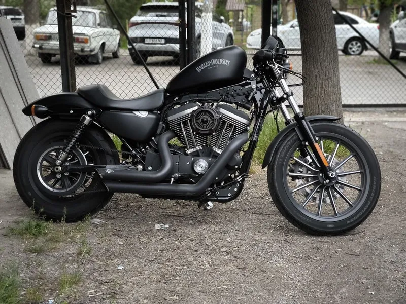 Harley Davidson sportster 883 iron custom 3