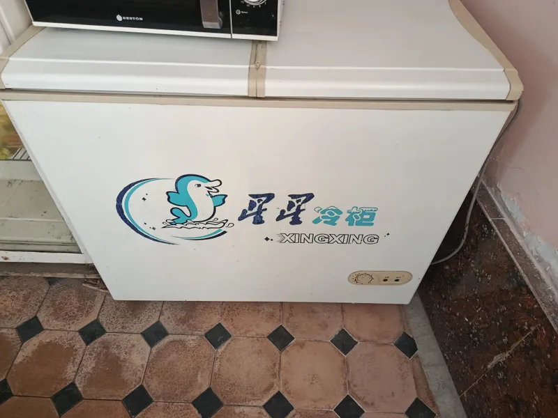 Музлатгич