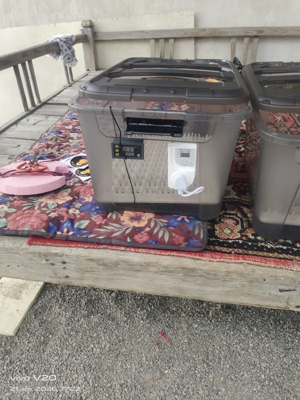 Inkubator 88 talik 12v va 220 da ishlaydi toʻliq avtomat