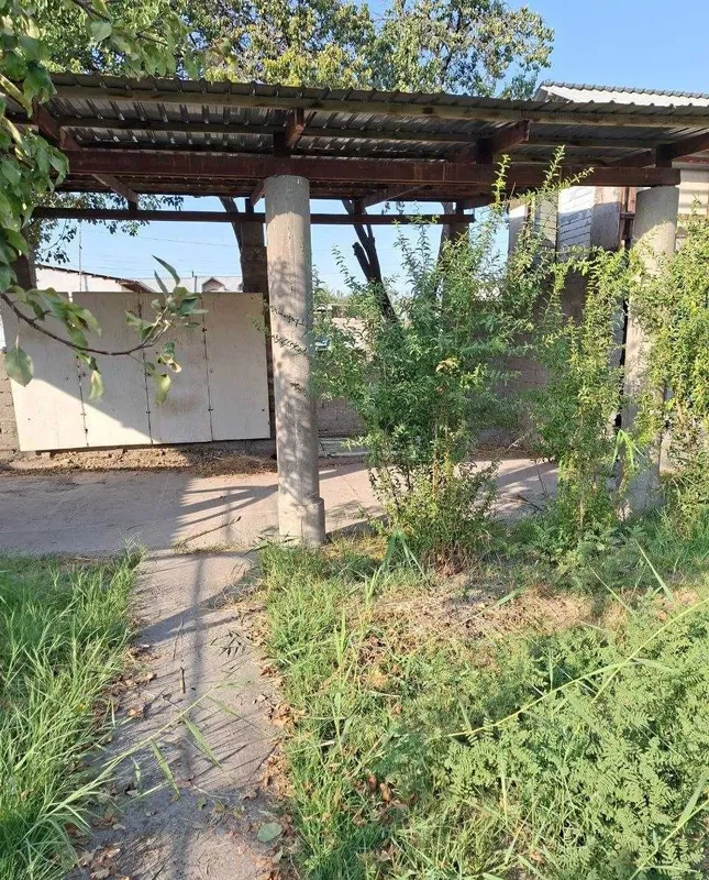 Дача 6 соток, дом 92 м², Зангиата, 14 000 $/сотка 5 Дача 6 соток, дом 92 м², Зангиата, 14 000 $/сотка 5