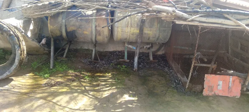 Qashqadaryo viloyati chiroqchi tumanida hamma joyi
