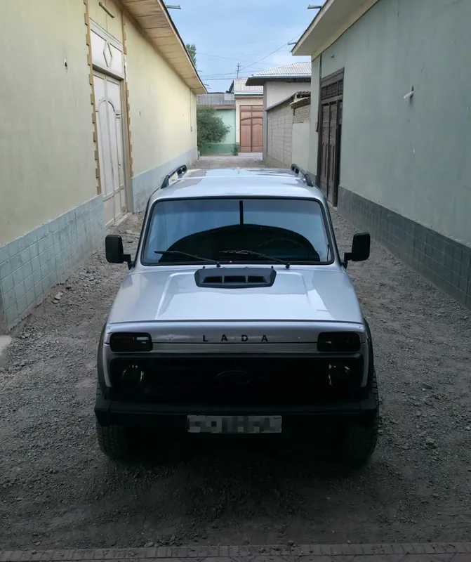 Niva Sotiladi 2008y 5