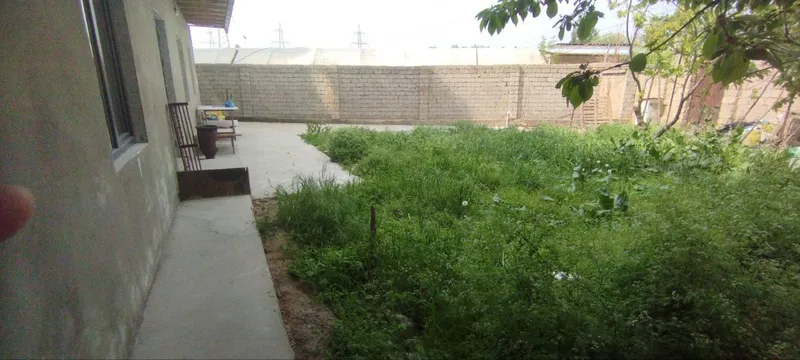 Qibrey Tashgress uchastka narxi 35000 keliwiladi 7