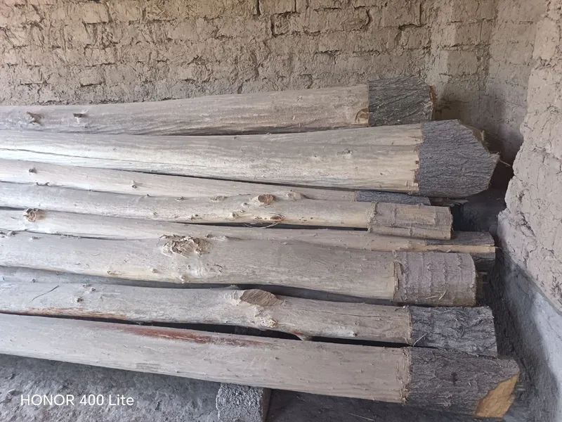 5 metrli tosinlar 30tacha bor 1 5 metrli tosinlar 30tacha bor 1