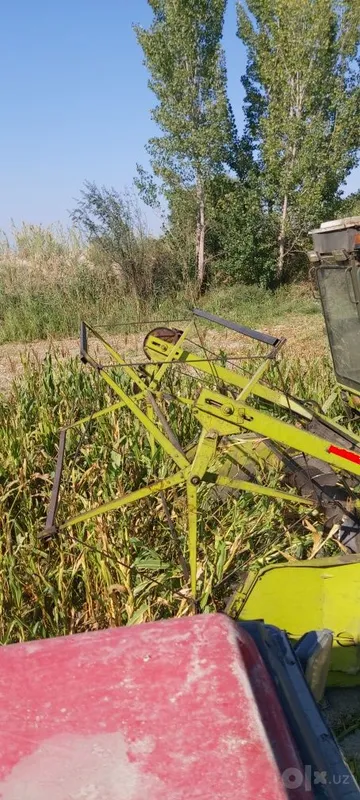 Fargona viloyati Buvayda tumani begabod qishlogi 3 Fargona viloyati Buvayda tumani begabod qishlogi 3