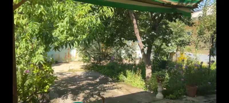 Fayzli honadon sotiladi 5