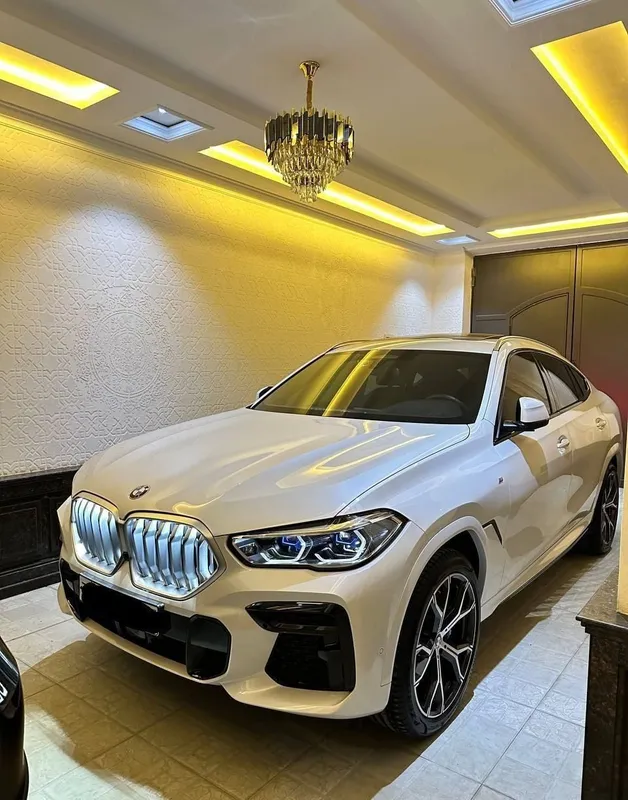 Bmw x6 xDrive40i — фото 3