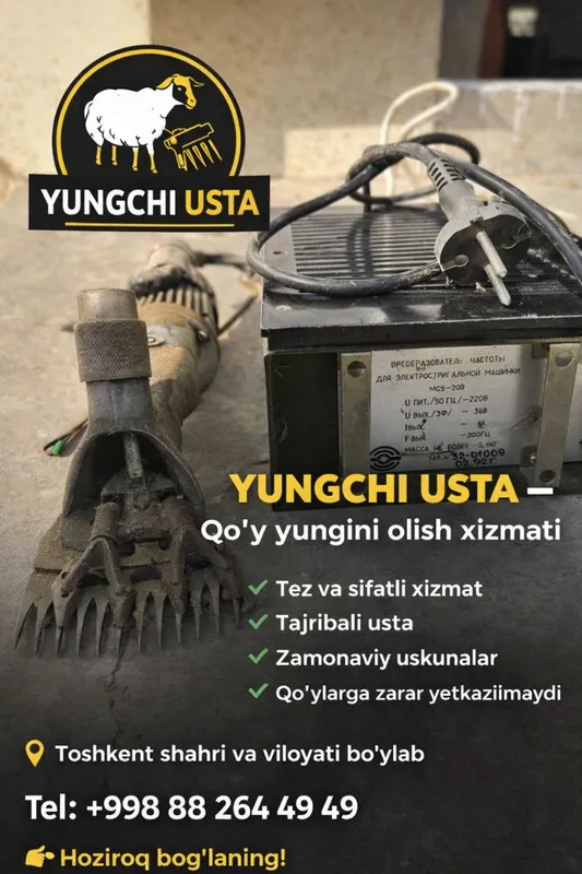 Qoʻy yungini olish xizmati narxlar kelishilgan xolqa