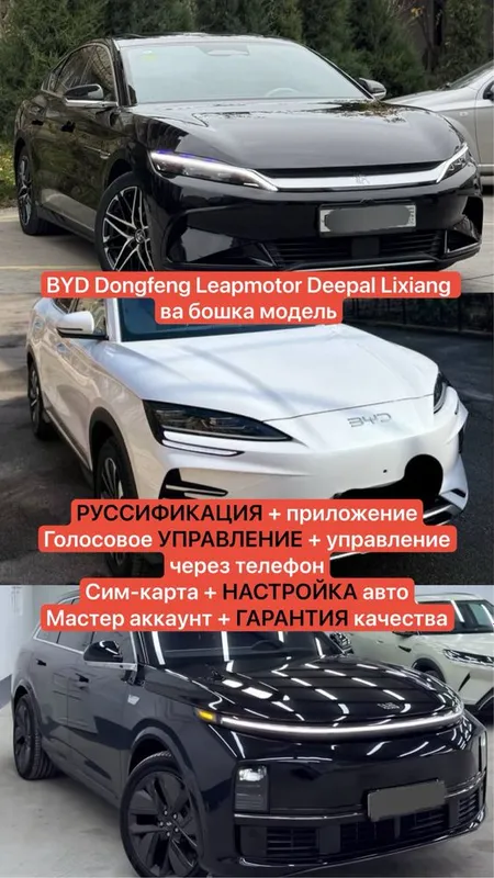Руссификация + голосовое+телефон управление