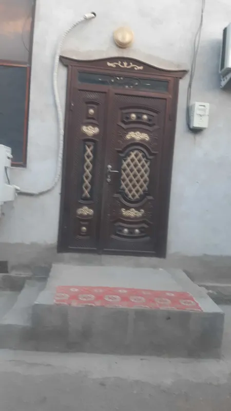 Kirish eshigi temirdan yasalgan