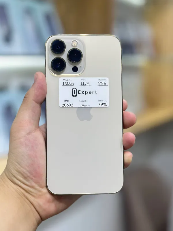 iPhone 13 Pro Max
